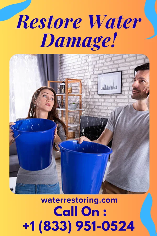 water restoration New Flood Damage LLC Elyria