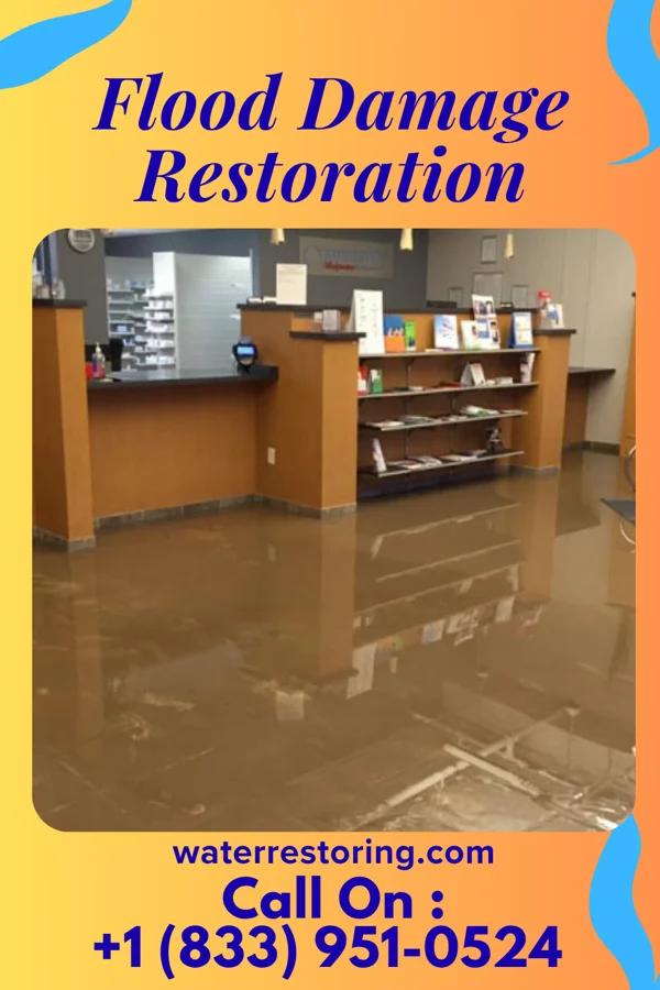 Flood Damage Restoration in Elyria, KS