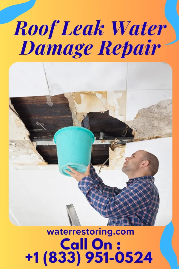 Roof Leak Water Damage Repair in Elyria, KS